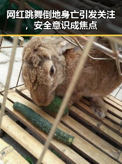 网红跳舞倒地身亡引发关注，安全意识成焦点