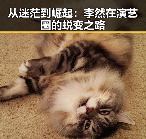 从迷茫到崛起：李然在演艺圈的蜕变之路