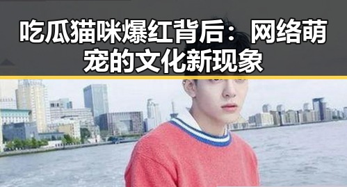 吃瓜猫咪爆红背后：网络萌宠的文化新现象