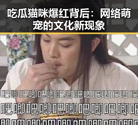 吃瓜猫咪爆红背后：网络萌宠的文化新现象
